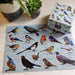 100 Piece Jigsaw - Birds - The Panic Room Escape Ltd