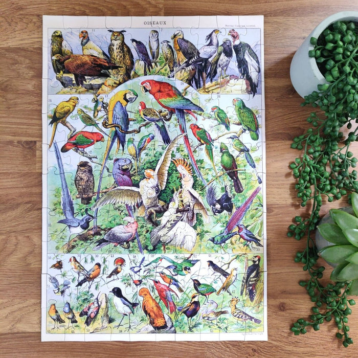 100 Piece Jigsaw - Tropical Birds - The Panic Room Escape Ltd