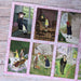 Bath Classics - Secret Garden - Book & Puzzle Set - The Panic Room Escape Ltd