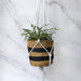 Luxe Decor Craft Kit - Macrame Hanging Planters - The Panic Room Escape Ltd