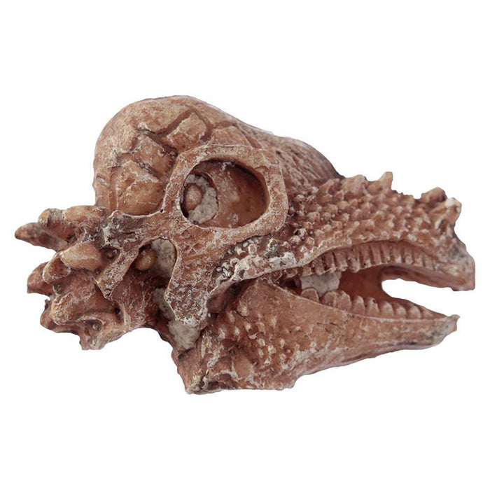 Rawr Dinosaur Skull Fossil Dig - A - Saurs Dig it Out Kit - The Panic Room Escape Ltd