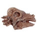 Rawr Dinosaur Skull Fossil Dig - A - Saurs Dig it Out Kit - The Panic Room Escape Ltd