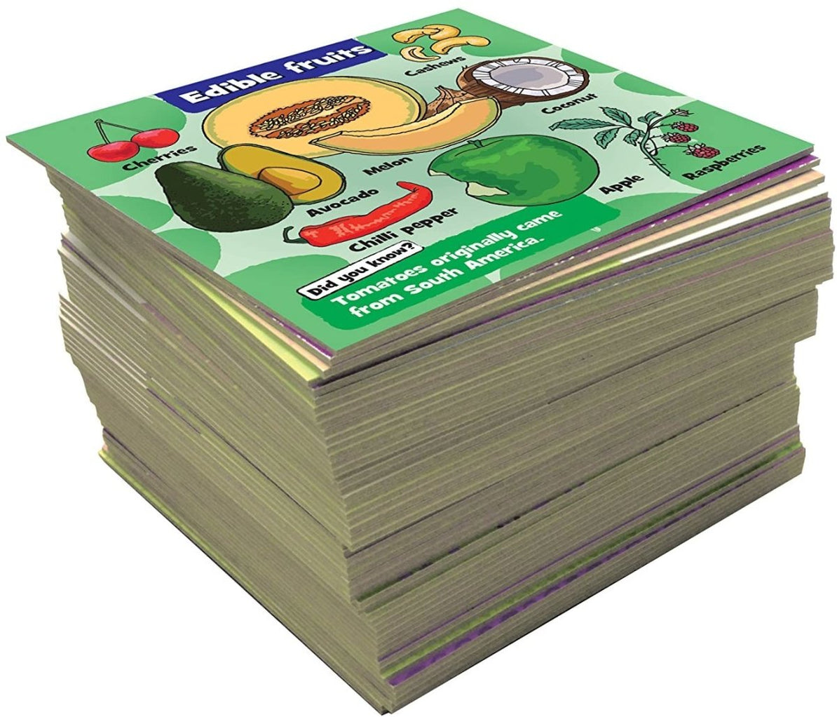 BrainBox Nature Card Game — The Panic Room Escape Ltd