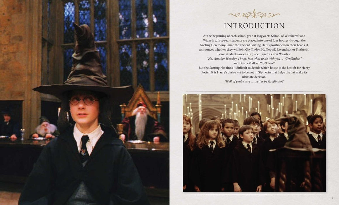 IncrediBuilds: Harry Potter: Sorting Hat Deluxe Book and Model Set - The Panic Room Escape Ltd
